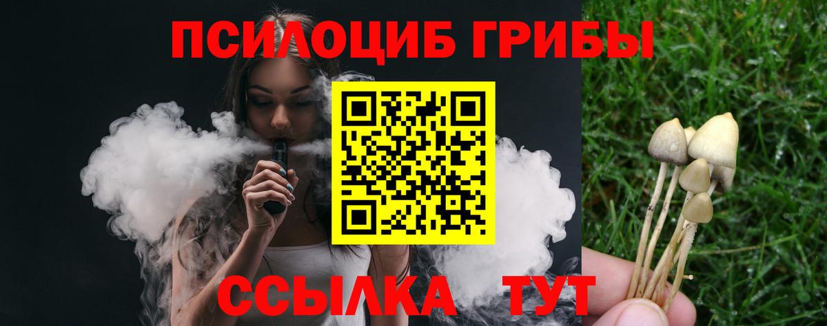 Псилоцибиновые грибы мицелий Новороссийск